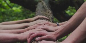 several people placing their hands on a log