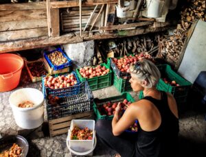 A woman sitting on the ground sorting vegetables in crates