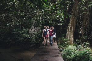 A group of people walking across a wooden bridge in the jungle