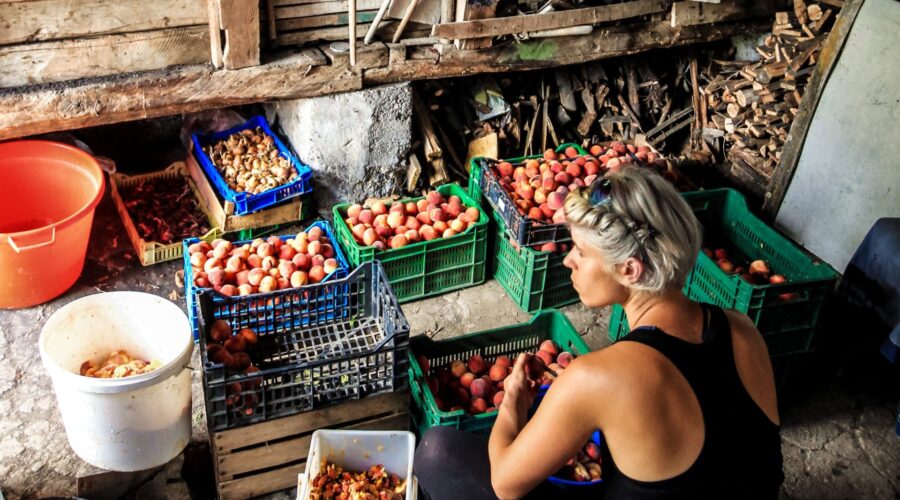 discover-serbia-739821-unsplash-e1547565692136